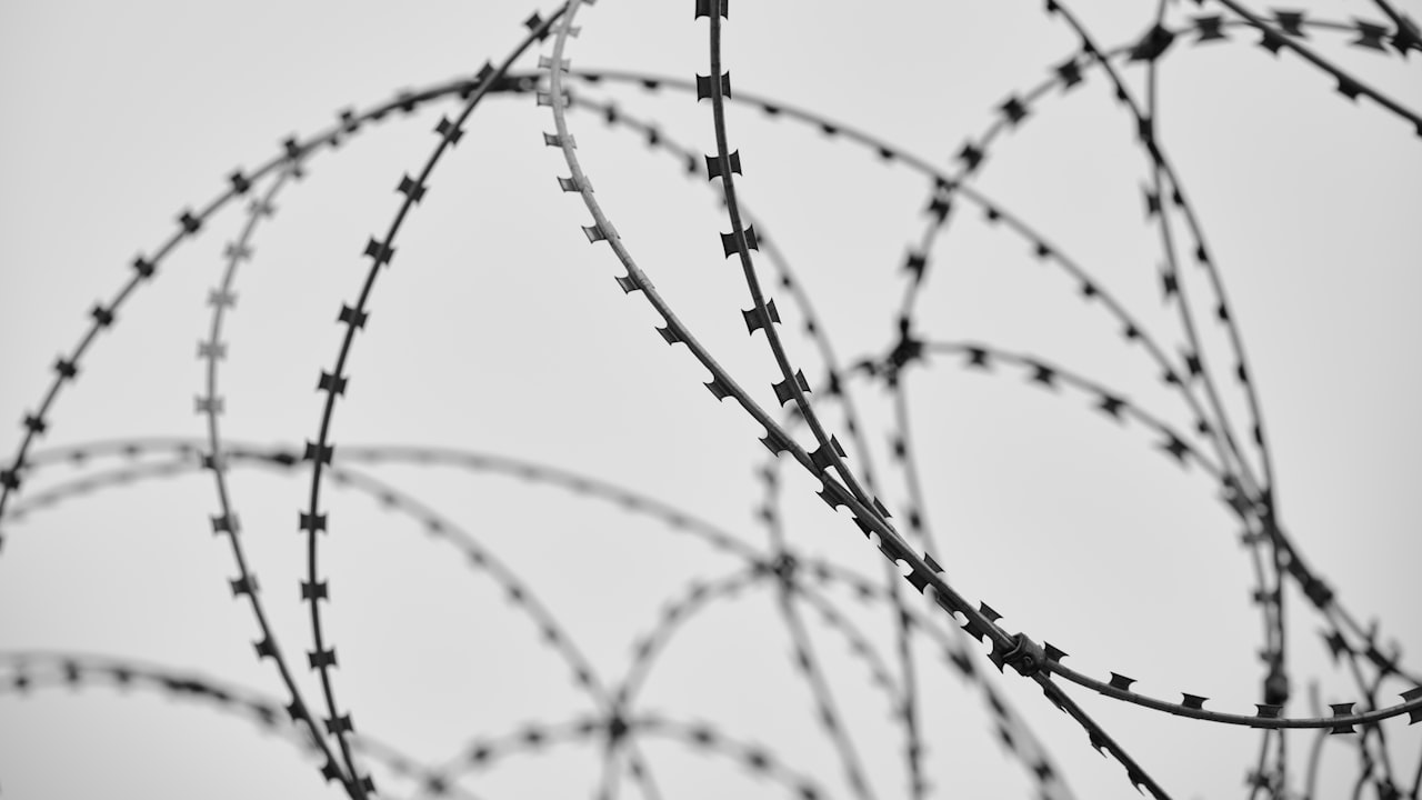 Titanium Mesh Manufacturing Industry